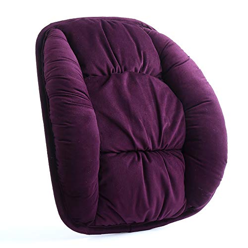 Alibo Low Back Pain Relief Lumbar Support and Anti Slip Bottom Chair Cushions Nonslip Car Seat Pads Adjustable Strap Lumbar Pillow for Office,Dinning Room,Wicker,Lounge,Auto Car Seats,Sofa,Wheelchair