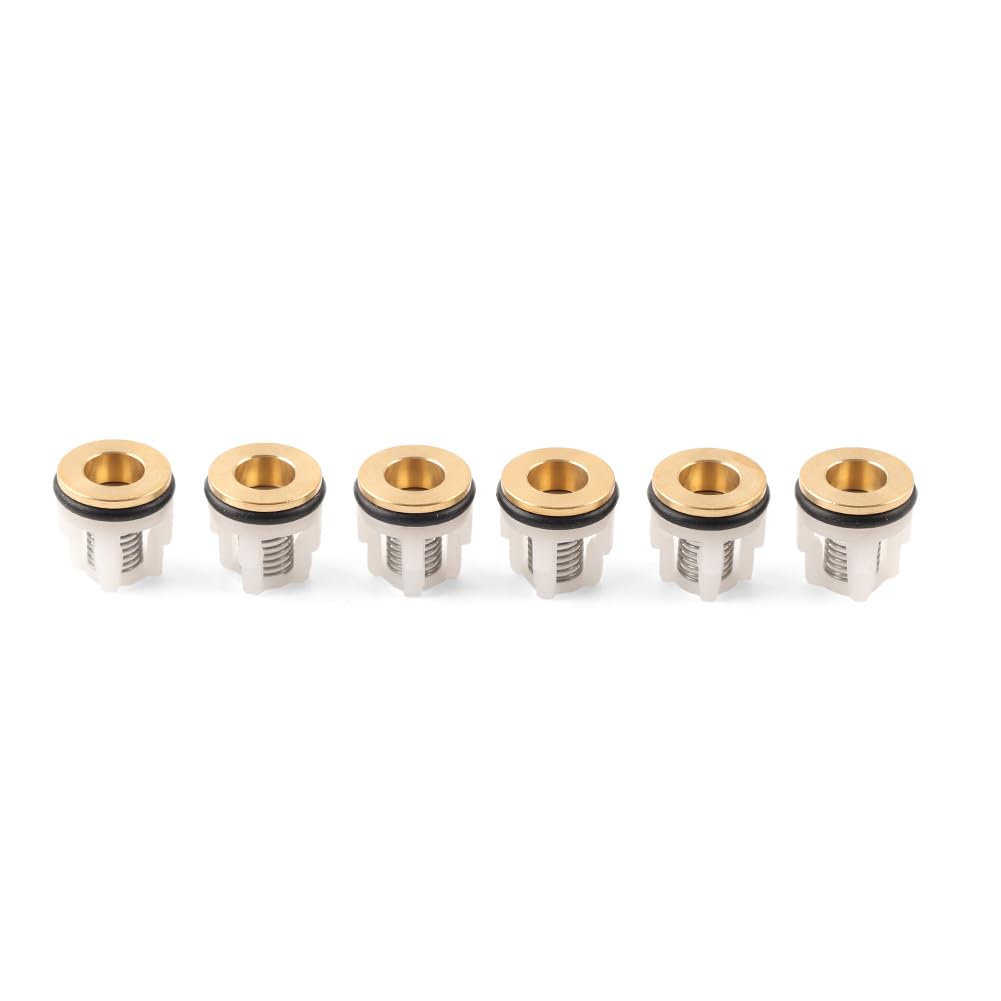 Kit de válvulas Check 42123 para bomba de hidrolavadora Annovi Reverberi RMW SRMV RMV de metal plateado