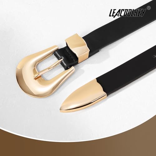 Women Leather Belt for Jeans Dress Ladies Faux Leather Belt Silver Gold Buckle Waist Belt Plus Size4