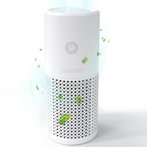 H13 HEPA Air Purifier with Fragrance