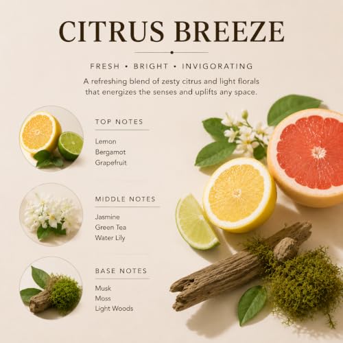 Image of Airkeep Reed Diffuser Set,3.38 fl oz (100 ml) - Citrus Breeze Oil Diffusers with 8 Reed Sticks, Home Fragrance Reed Diffuser for Bathroom Shelf Decor
