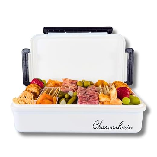 Can i take ice packs in my checked luggage Charcoolerie Chilled Snackle Box for Outdoor Events