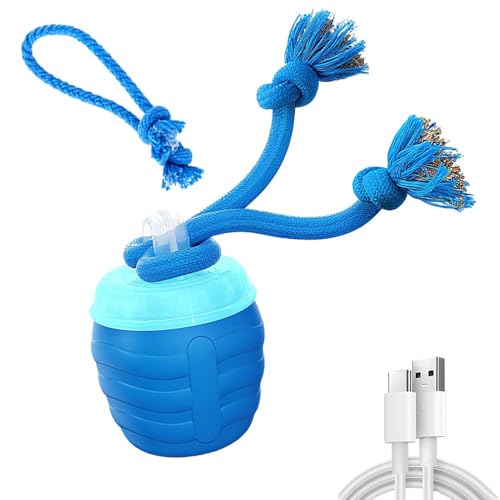 Interactive Dog Toys, 2026 Upgraded Motion Activated Squeaky Cat Balls, 360° Smart Automatic Rolling Moving for Bored Pet Cats Dogs, Interactive Dog Balls (Blue)