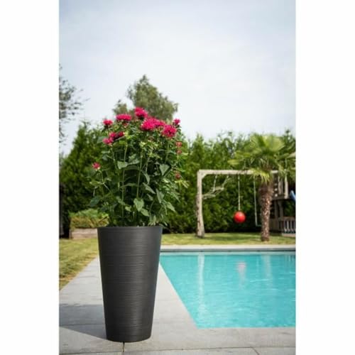 Pot Marque anti stagnation d'eau pour protéger les racines des plantes - 3