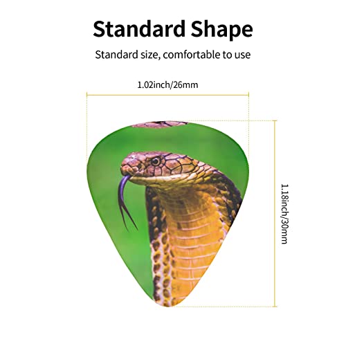 Pack de 12 médiators Cobra Snake pour guitare électrique guitare acoustique guitares diverses - Les Beatles, Paul McCartney, John Lennon, RIngo Starr, George Harrison Pack de 12 médiators Cobra Snake pour guitare électrique guitare acoustique guitares diverses – Image 4