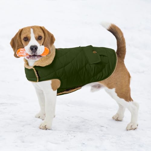 CITÉTOILE Wintermantel Hundemantel, Warme Winterjacken mit Fleece für Hunde,Hundejacke Hundekleidung Hundepullover Dog Coat mit Geschirr Loch für Chihuahua Dackel, Grün, L