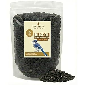 3 LB Black Oil Sunflower Seeds for Birds – Premium Wildlife & Bird Food – Grown in USA – Non-GMO – Black Oil Sunflower Seeds for Wild Birds and Backyard Feeders