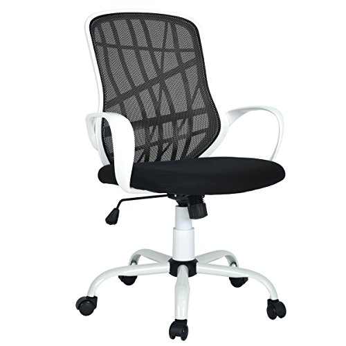 FurnitureR Silla ergonómica de Escritorio de Oficina Sillas...