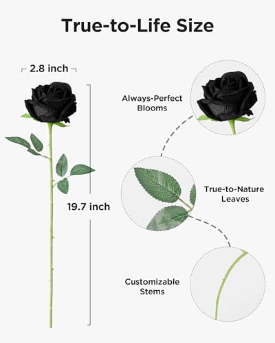 Image of InnoGear 50 Pcs Black Roses Artificial Flowers, Fake Velvet Silk Rose Bulk Faux Flower for Decoration DIY Wedding Centerpieces Proposal Bridal Bouquets Shower Party Home Floral Decor (50, Black)