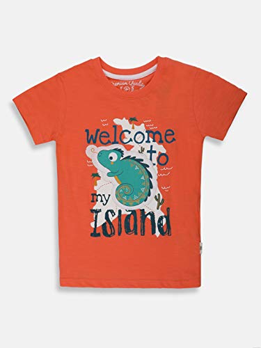Image of Lil Tomatoes Boys Cotton Lycra T-Shirts