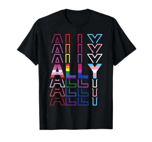 Ally LGBT Lesbian Gay Bisexual Bi Trans Transgender Pride T-Shirt