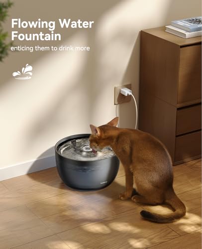 FEELNEEDY Trinkbrunnen für Katzen - 3L Katzenbrunnen Leise mit Aktivkohlefilter - Trinkschale aus Edelstahl - Durchsichtiger Wassertank - Wasserbrunnen für Katzen - Schwarz