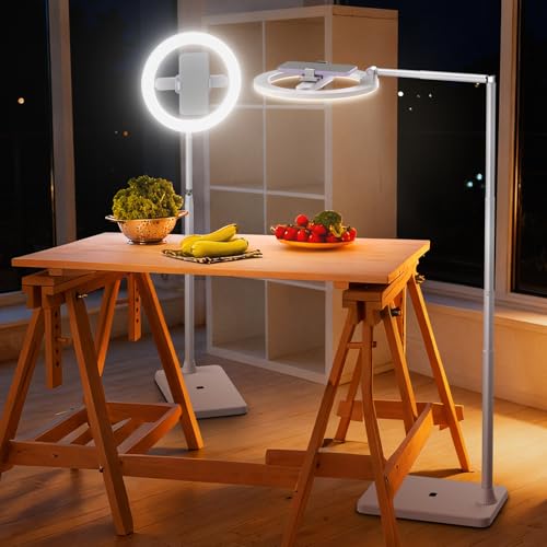 Image of NEEWER Entry Level Version 10 inch 7W LED Ring Light with Stand /Phone Holder Mount /3 Color Modes, 69 inch Telescopic Selfie Ringlight, Lighting for iPhone Streaming Makeup Lash Studio Video Recording, N18