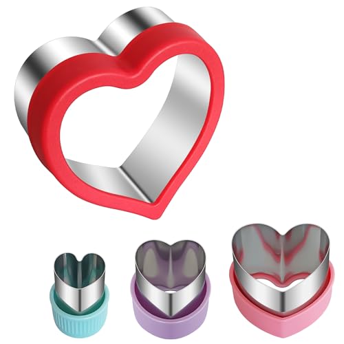 ALLTOP 4-Piece Heart Shaped Cutter Set