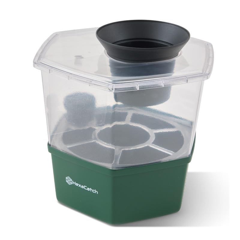 Master Trap by FAVEX - Lot de 2 pièges Anti Pontes Hexacatch - Anti-Moustique - Limite la Reproduction des Moustiques Tigre et Commun - sans électricité