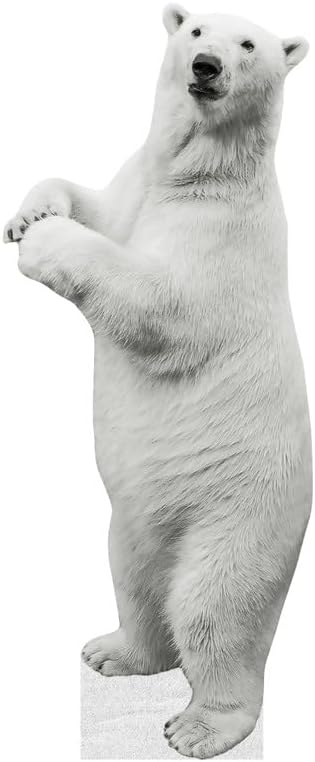 Polar Bear - Life Size Cardboard Cutout Standup People with Support Standee | Animals -