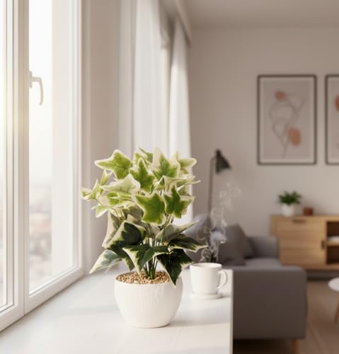 Image of Foliyaj Artificial Ivy Plant with White Pot | Indoor Plants for Home Decor | Living Room Decor | 28 cm Height | Decoration for Home and Office