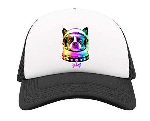 Gorra de media malla espacial para evitar el calor con diseño de perro astronauta