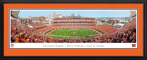 Cincinnati Bengals, Orange Out - Double Mat, Deluxe Framed Picture by Blakeway Panoramas (44