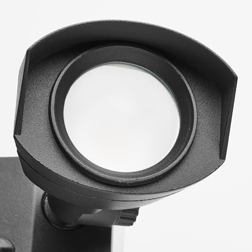 Image of Nuvo 65 /220 LED Dual-Head Security Light, 4000K, Black