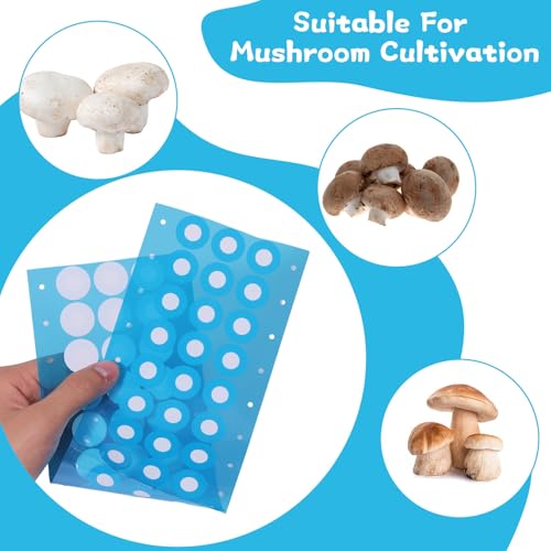 Image of CHGCRAFT 144Pcs Synthetic Filter Paper Stickers 20mm 0.22 m Filter Patch Sticker Disc Adhesive Filter Patch Sticker Wide Mouth Filter Paper for Mushroom Cultivation Jar Lids Mason Jars