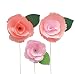 Little B 20 Piece 100498 Paper Flower Petal Strips, Peony