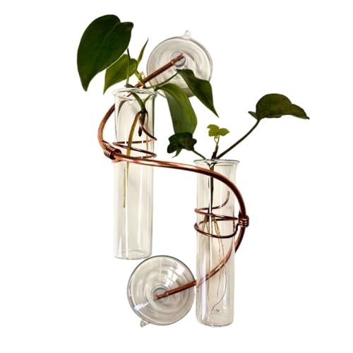 SWEET FEEDERS 2 Willow Window Plant Propagator- Window Propagation Station