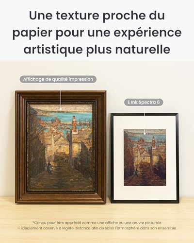 Cadre d'art Numérique SwitchBot IA 7.3'' Écran Électronique Ink sans Fil - 3