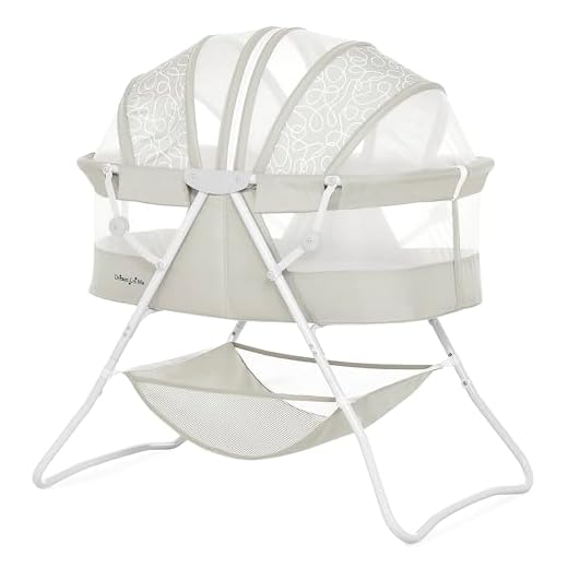 Dream On Me Karley Bassinet in Cool Grey