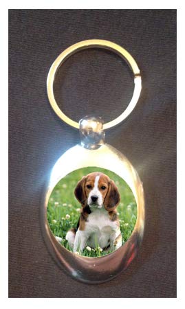 DottsMusic Beagle Dog On Grass - Cute Pet Design on Shopping Trolley Keyring - Token (£1 Coin)