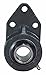 Peer Bearing FLANGE BRACKET UNIT THREE BOLT WITH SET SCREW LOCKING INSERT- ALL STAINLESS STEEL (SSUCFB205-14)