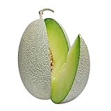 55 semillas de melón verde HAMI