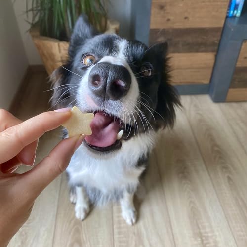 Collory große Backmatten Hundekekse Starter Paket inkl. Zubehör (5er Set), Hundeleckerlis in MEDIUM backen, Dosierflasche und Schaber, Lebensmittelecht & Bpa-frei