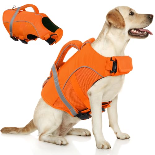 Bouée pour chien de petite taille évitant la fatigue