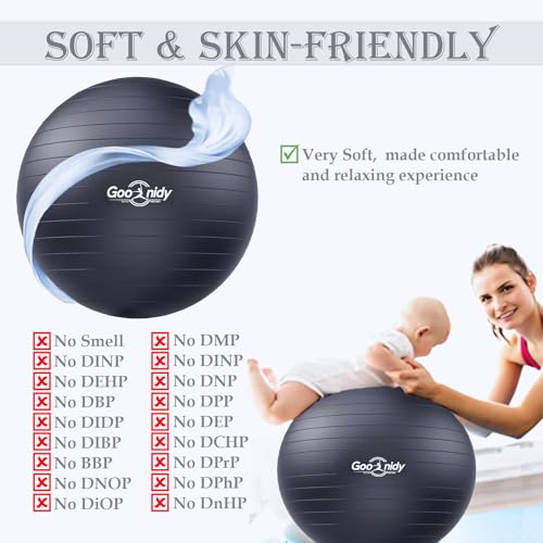 Image of Soft Exercise Ball, Yoga Pregnancy Ball Chair, Pilates Equipment with Pump