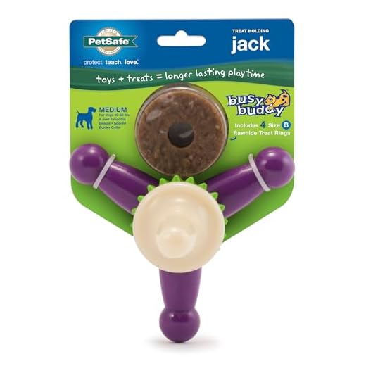 PetSafe Busy Buddy Jack - Keeps Dog Busy - Includes Treats Refill - Treat Holding Dog Toy - Helps Clean Teeth - Durable Rubber - Strong Chewers - Dishwasher Safe - Medium - Purple