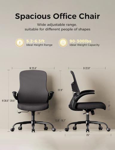 professional ergonomic chair review and rating product image