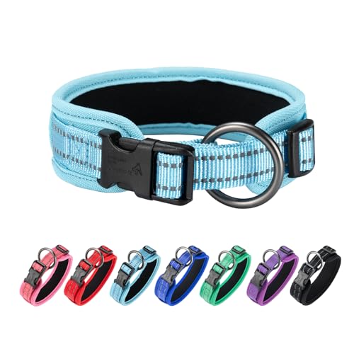 EXCELLENT ELITE SPANKER Classico collare per animali domestici in materiale PU con fibbia regolabile per cani di piccola media grande taglia che camminano e si allenano Nero Rosso Blu(LBLU-M)