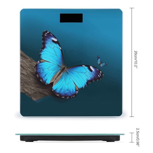 Báscula digital de baño con vidrio templado y pantalla LED miniatura 2