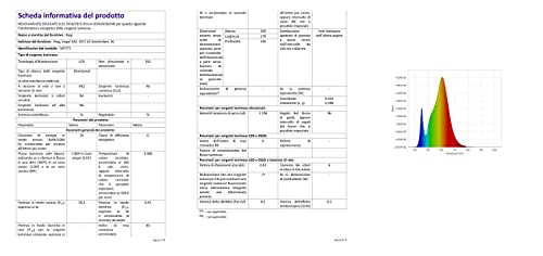 Ring videocamera Plus con proiettori cablata (Floodlight Cam Wired Plus) | Telecamera di sorveglianza HD per esterno con audio bidirezionale, sirena | Ring Home: 30 gg. prova gratuita, 2 telecamere - Vista 8