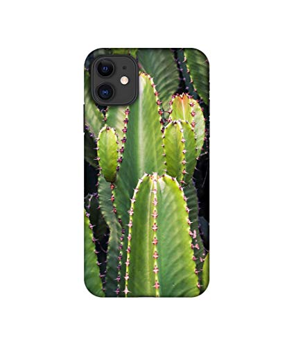 Image of Amazon Brand - Solimo Plastic Designer Desert Plant 3D Printed Hard Back Case Mobile Cover for Apple iPhone 11, Multi-Coloured