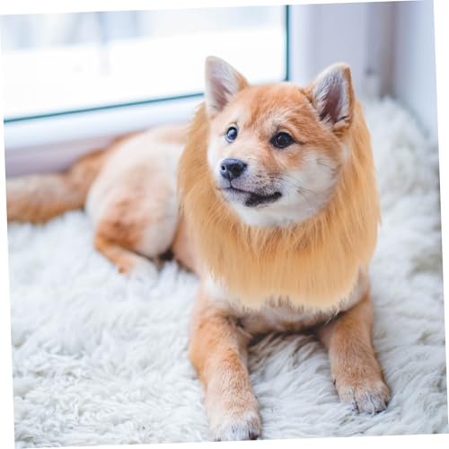 Disfraz para perro león con peluca y collar, talla M miniatura 6