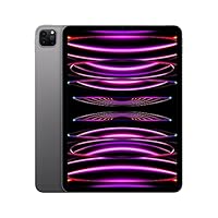2022 Apple iPad Pro 11' (Wi-Fi, 2TB) - Grigio siderale (4ª generazione)
