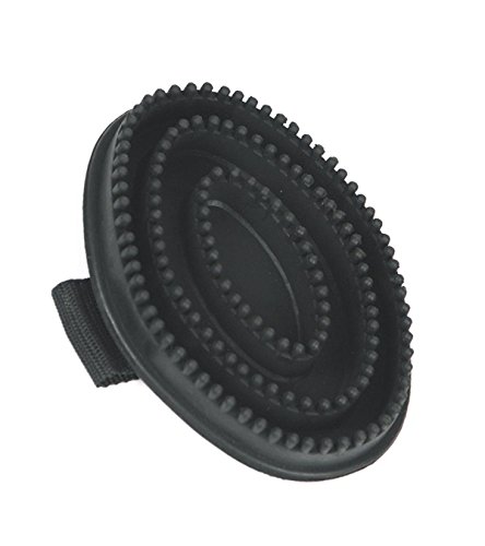 212 Main Humane Rubber Curry