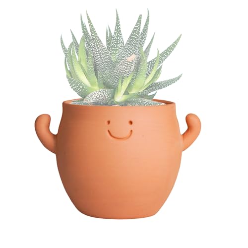 YOBRO Terracotta Face Planter, Cute Funny Smiley Clay Pot with Drainage, Breathable Succulent Planter for Indoor & Outdoor, Adorable Gift for Plant Lovers, 3.5 Inch