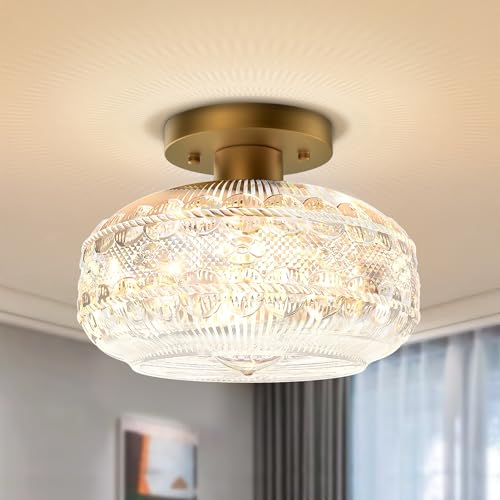 Apoto CA-9 SERIES Industrial Semi Flush Mount Ceiling Light Fixture,Gold Hallway Light,Globe Glass Light Fixture Ceiling,Vintage Ceiling Lamp,Farmhouse Light cover