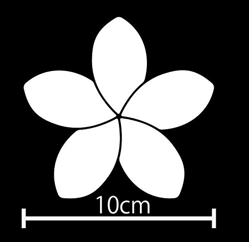 Amazon.co.jp: プルメリア Plumeria rubra インドソケイ 花 花びら