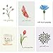 Best Paper Greetings Get Well Cards Assortment Box - 48 Pack, 4x6 Inch, 12 Floral Designs - Sympathy Cards with Envelopes & Blank Inside for Family Friends Coworkers