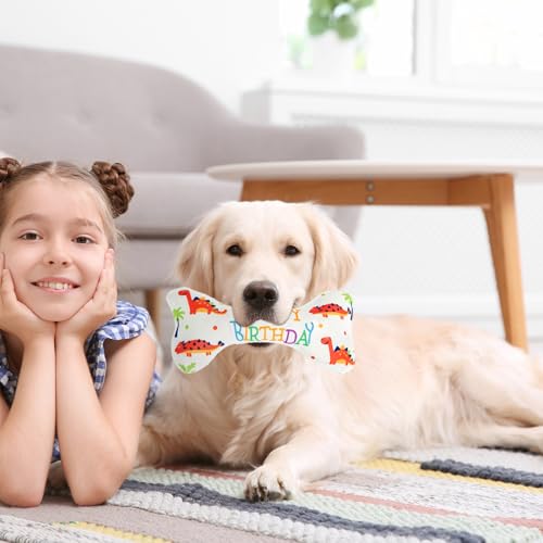 Anseom 2 Stück Hund Geburtstag Spielzeug Set, Dauerhaft Hunde Geburtstags Plüschtier Hundetorte Geburtstag für Hunde Weich und Bequem Quietschend Geburtstagsgeschenke