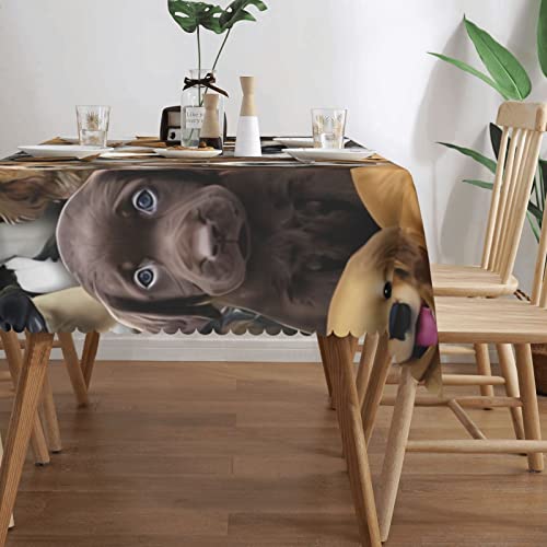 Nappe anti-tache et plis rectangulaire chiens mignons 137x183